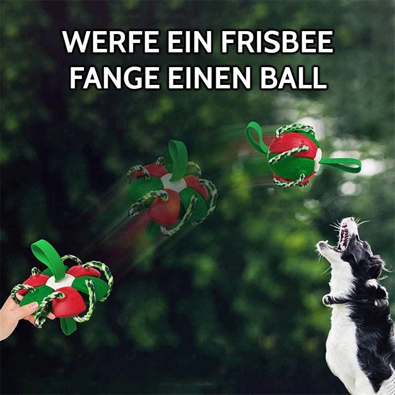 Interaktiver Frisbee-Ball Hundespielzeug