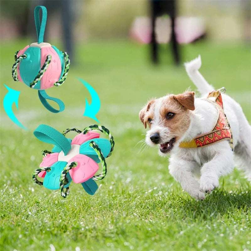 Interaktiver Frisbee-Ball Hundespielzeug