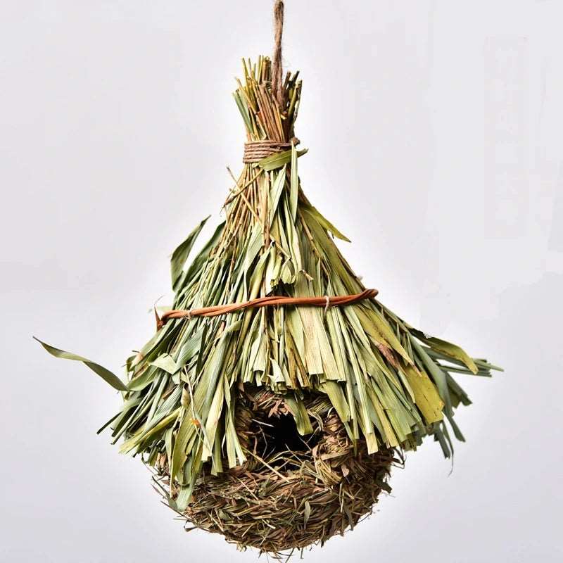 Grosses Vogelnest mit Bambusblaetter