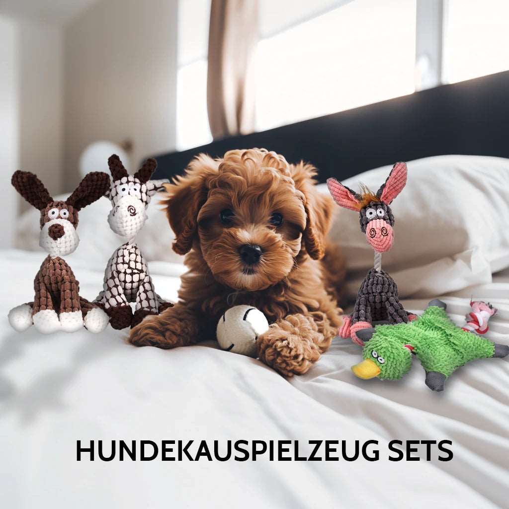 Hundekauspielzeug Sets- Lustige Tiere
