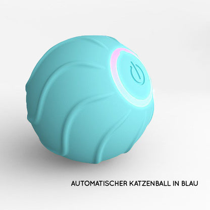 Katzenball in Blau
