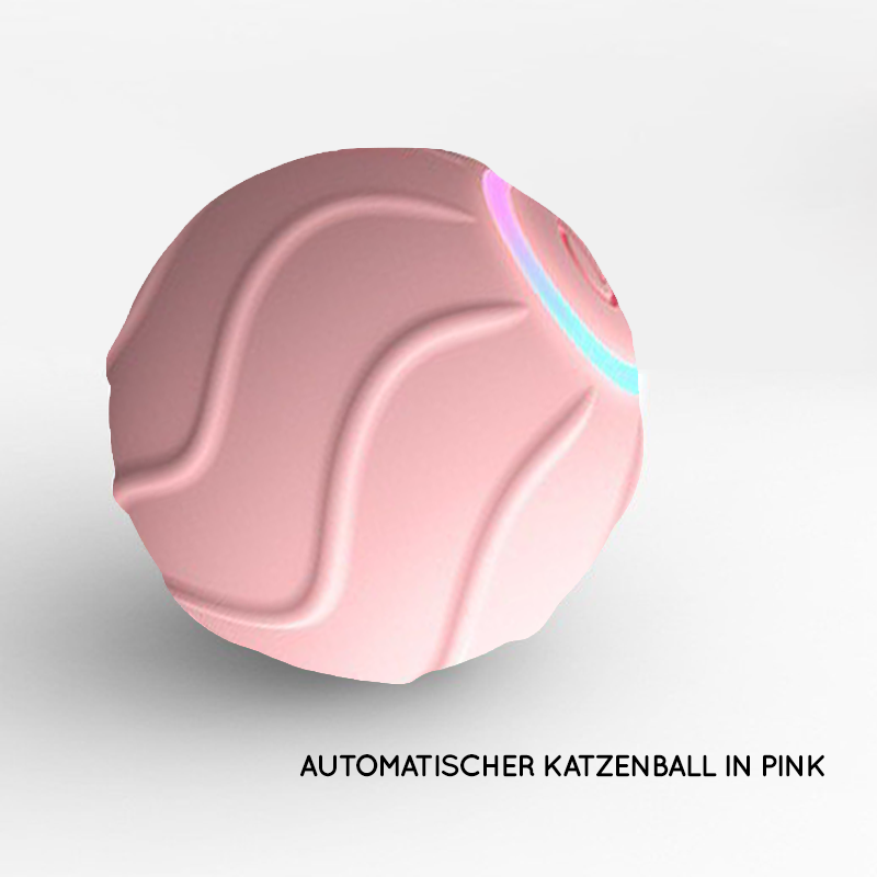 Katzenball in Pink
