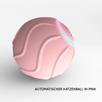 Katzenball in Pink