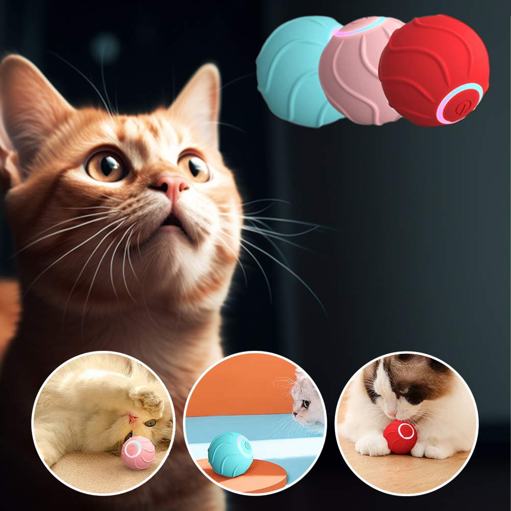 Katzenball in drei Farben, blau, pink, rot