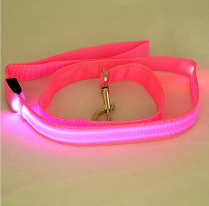 LED Hundeleine leuchtet in Pink