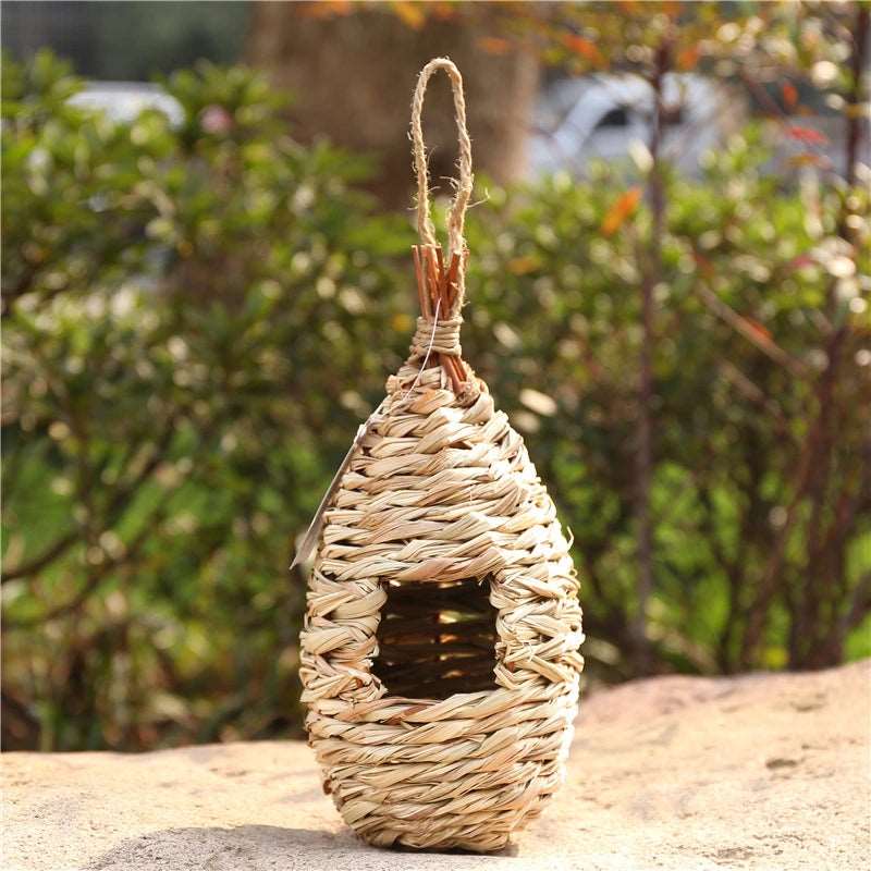 Schilfgrasvogelnest