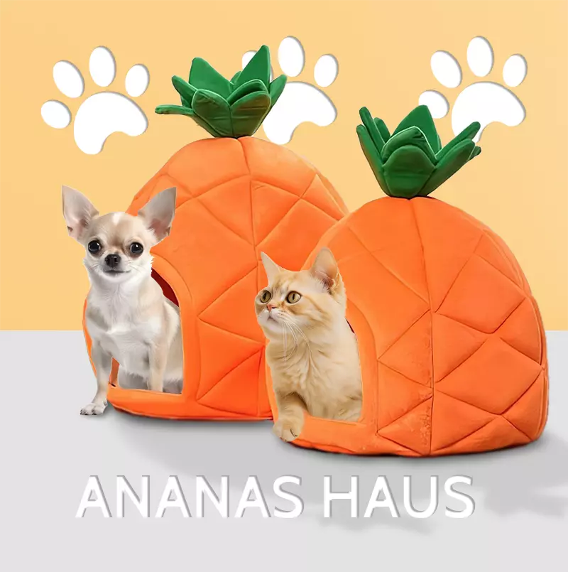 Ananashaus für Hunde und Katzen
