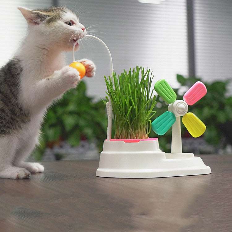 Katze beißt in Spielzeugball