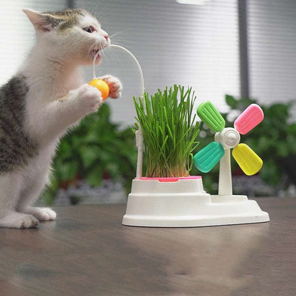Katze beißt in Spielzeugball