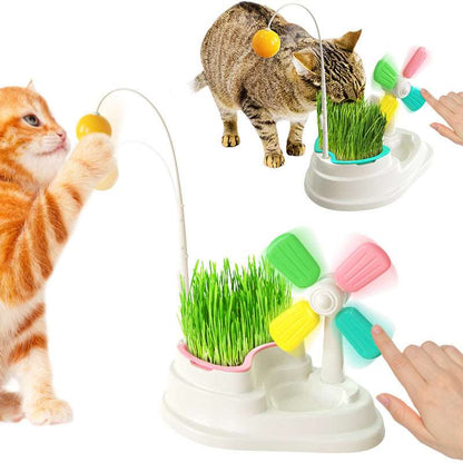 Zwei Katzen spielen mit der Windmühle