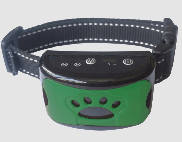 Anti-Bell Hundehalsband in Grün