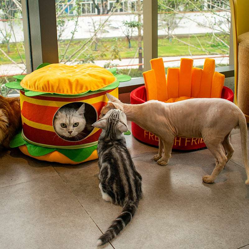 Katzen spielen mit den Katzenbetten