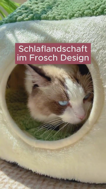 Katzenschlaflandschaft im Frosch Design