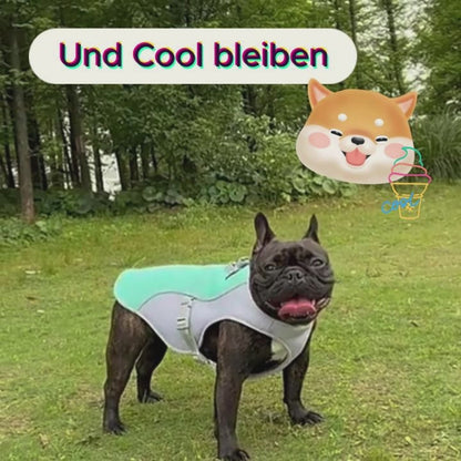 Kühlende Hundeweste