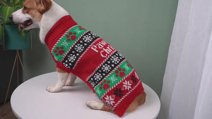 Pfotige Weihnachten Haustierpullover