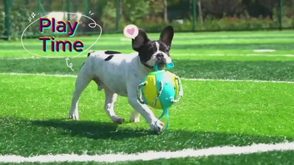 Interaktiver Frisbee-Ball Hundespielzeug