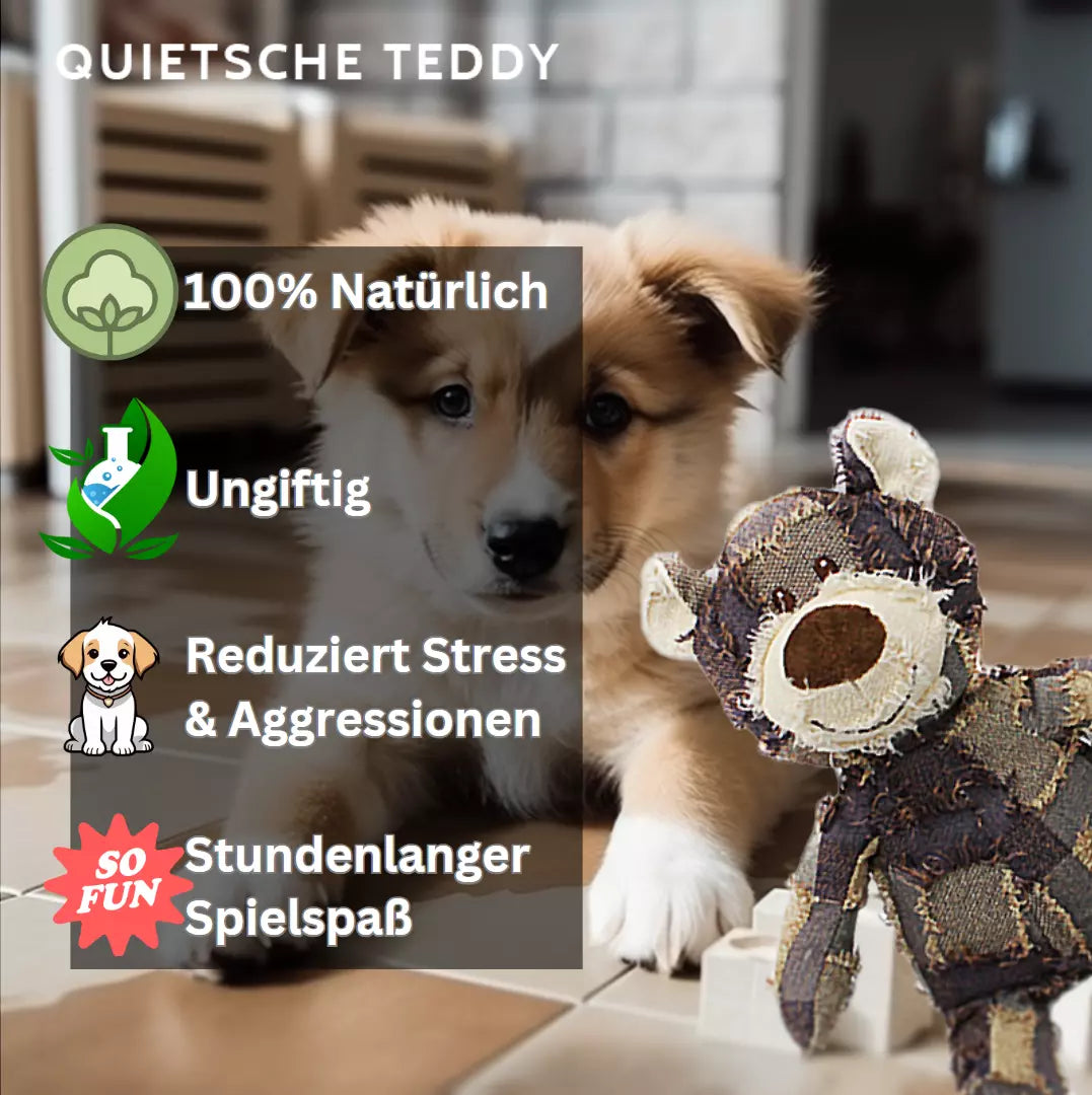 Hundespielzeug quietsche Teddy ungiftig
