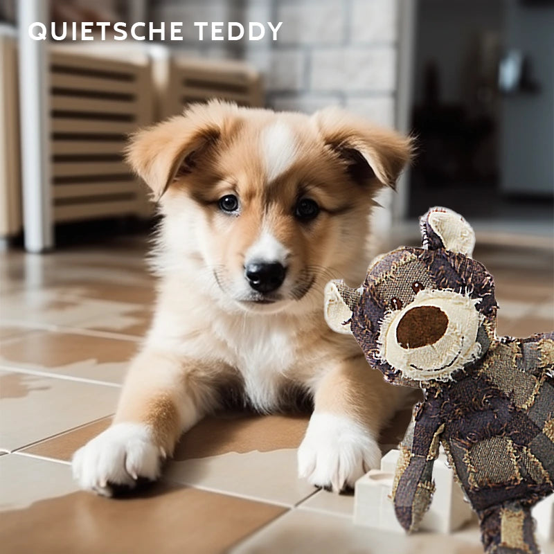 Hundespielzeug quietsche Teddy