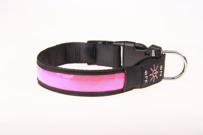 Leuchthalsband für Hunde in Pink