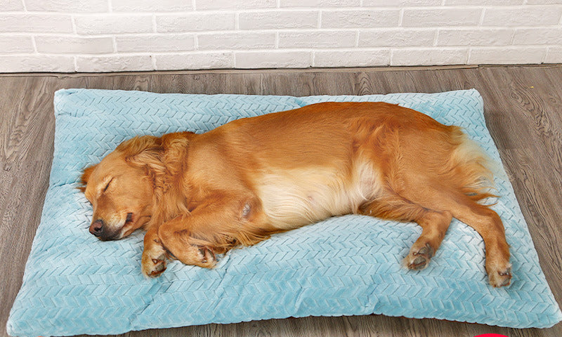 Warme plüschige Hundematte in Himmelblau mit schlafendem Hund