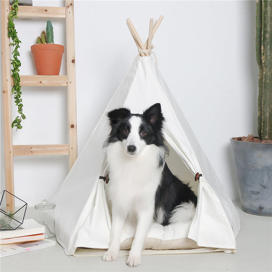 Hund im Haustierzelt