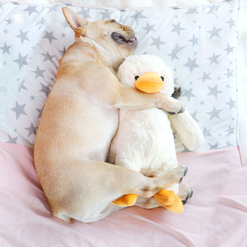 Liegend Hund mit Quietsche-Ente