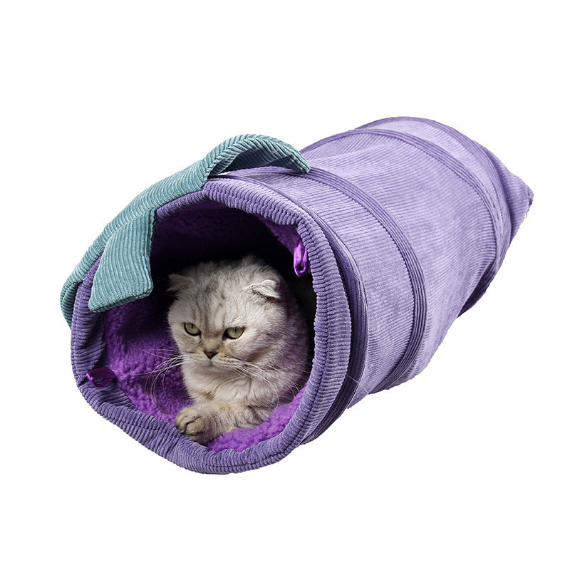 Lila Katzentunnel mit rausschauender weißer Katze