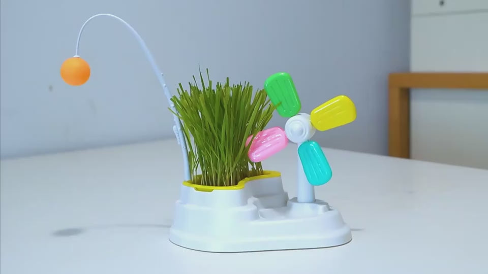 Katzenvideo beim Spielen mit der Windmühle