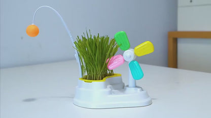 Katzenvideo beim Spielen mit der Windmühle