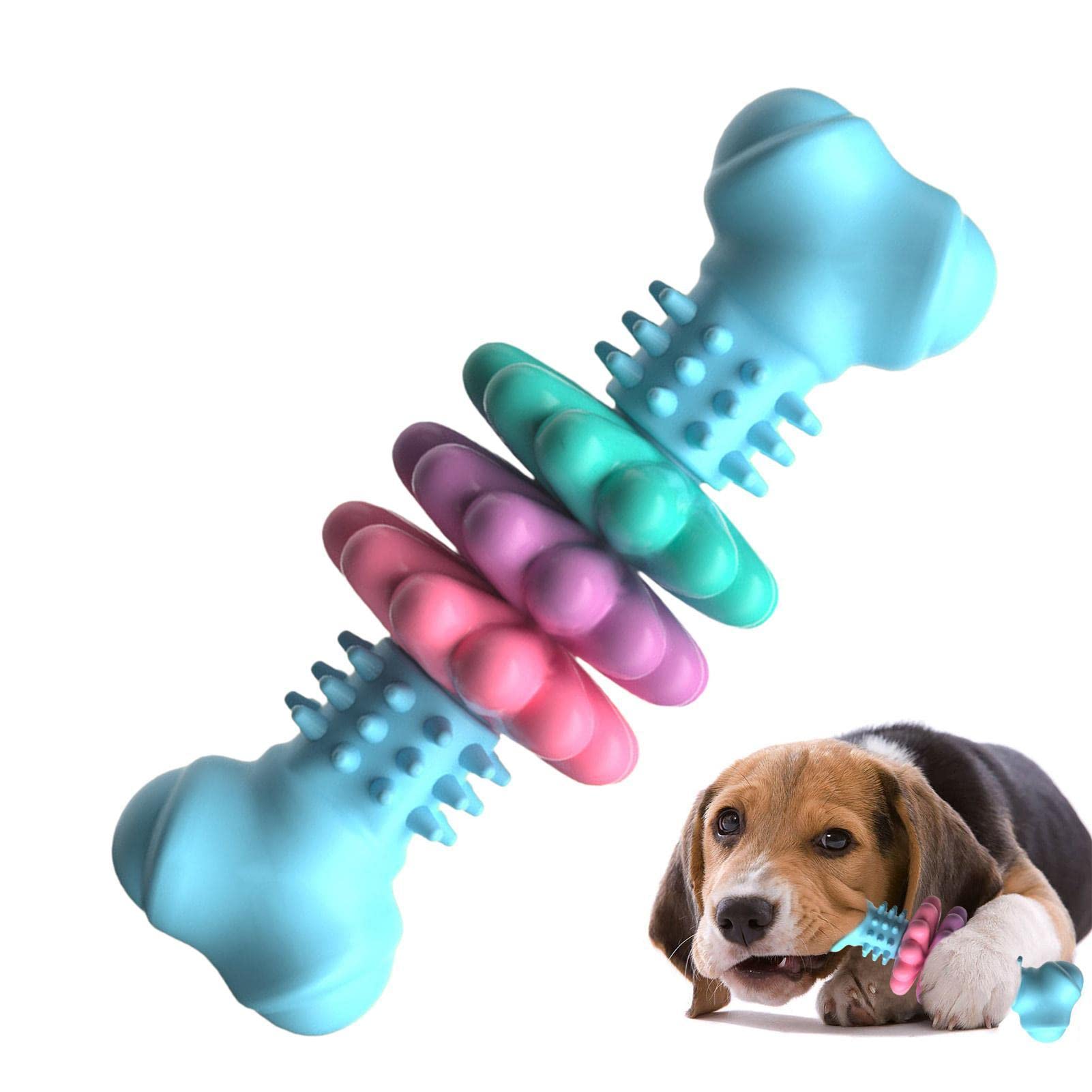 Hundekauknochen Zahnreinigung blau mit Hund