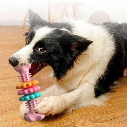 Hundekauknochen Zahnreinigung rosa Hund kaut knochen