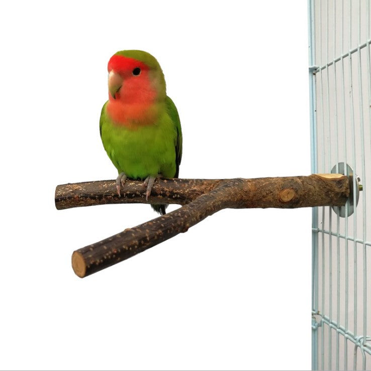 Vogelstange mit Liebesvogel aus Naturholz