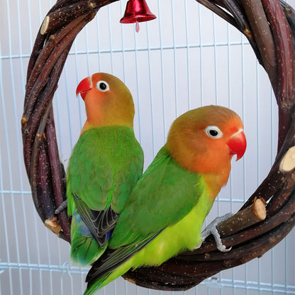 Vogelschaukel mit Liebesvögel