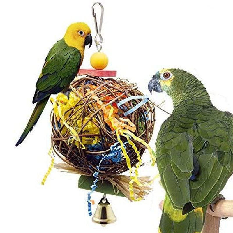 Liebesvogel und Papagei am Rankenball